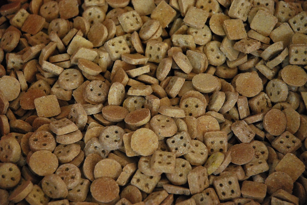 Biscotti per cani rotondo e quadrato