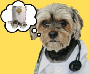 Cane vestito da dottore consiglia i distributori automatici di cibo