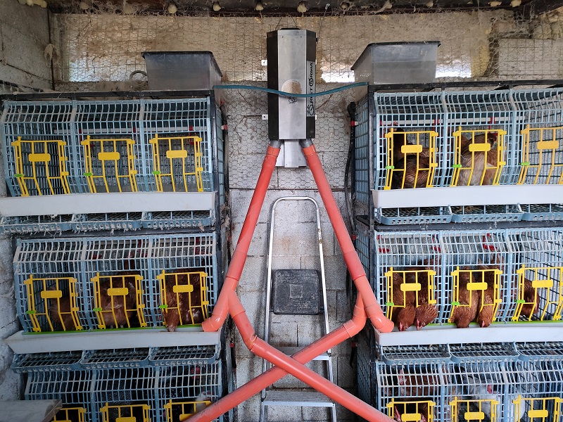 Distributore automatico di cibo per animali da cortile modello 250I