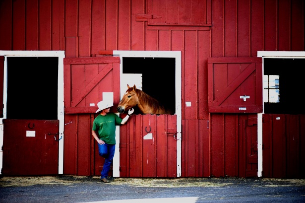 cavallo e il suo padrone