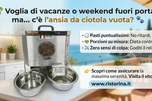 dispenser cibo e acqua per animali di compagnia